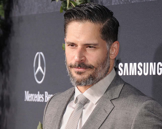 15 Famous Male Faces That Look Way Better With Beards Holly Fame